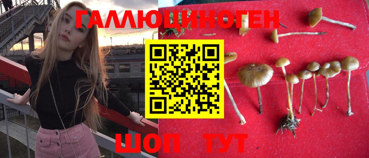 Галлюциногенные грибы Cubensis  Вход с VPN  Галлюциногенные грибы Magic Shrooms  Усинск 