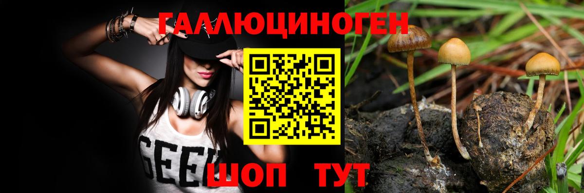 Галлюциногенные грибы мухоморы Усинск