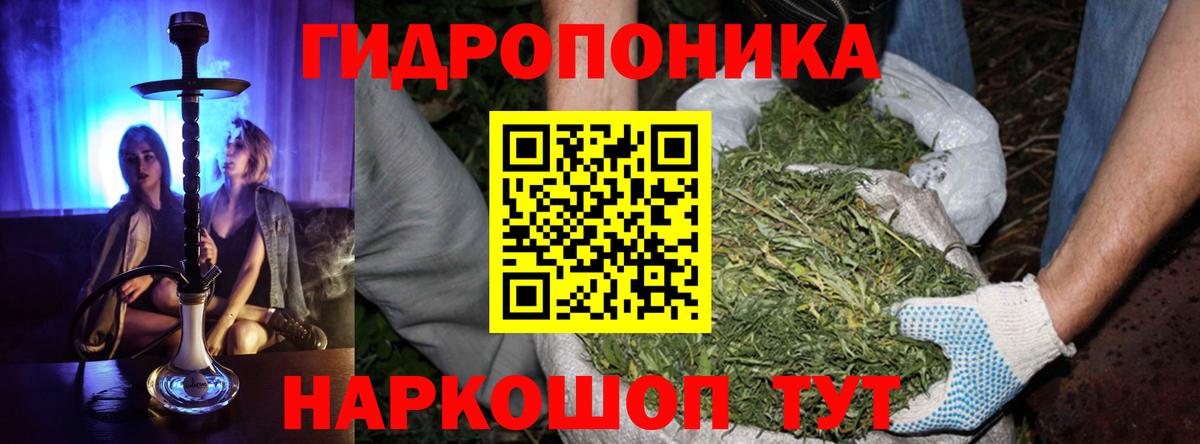 Конопля планчик  Вход с VPN  Марихуана семена  Усинск 